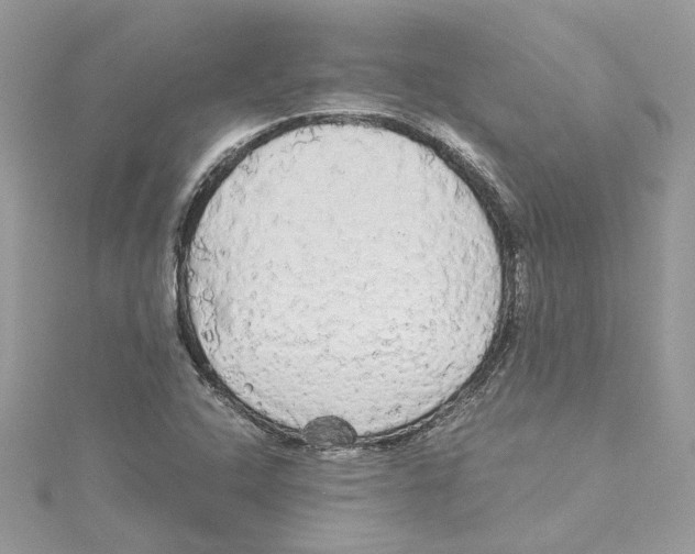 X0000114541408200911161347