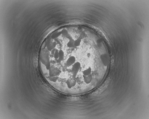 X0000114541409200911161347