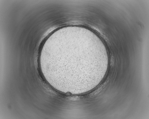 X0000114541410200911161347