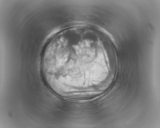 X0000114541411200911161347