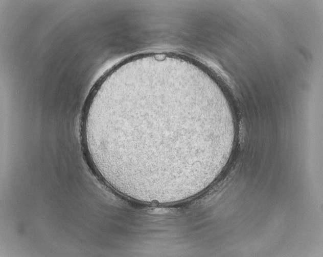 X0000114541412200911161347