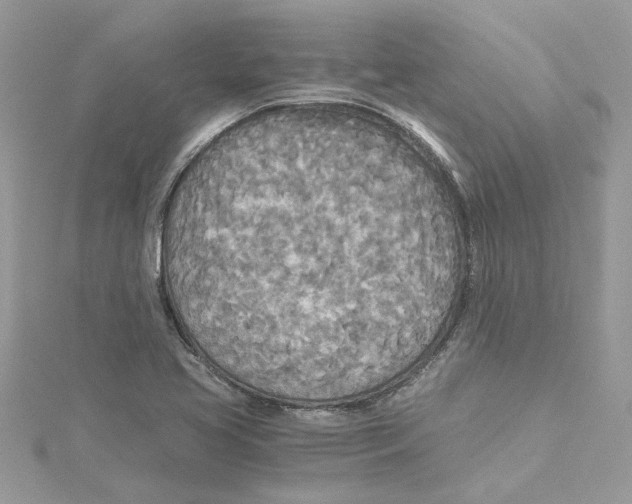 X0000114541413200911161347