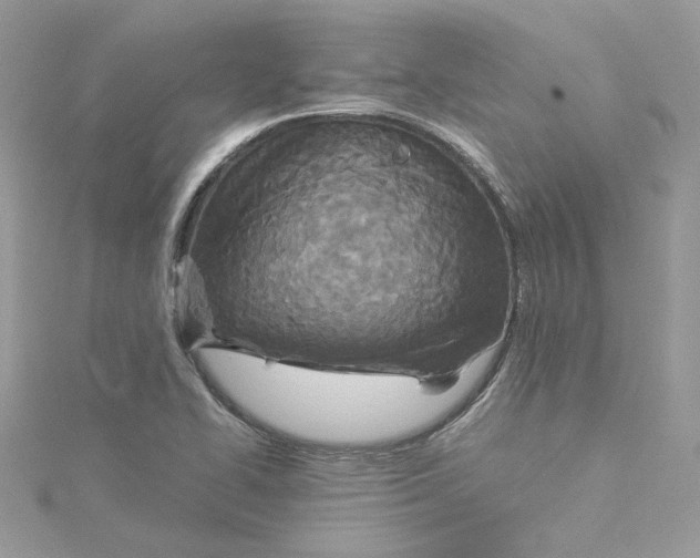 X0000114541414200911161347