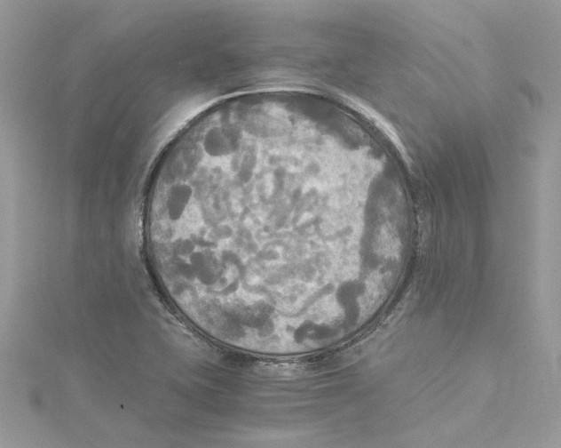 X0000114541415200911161347