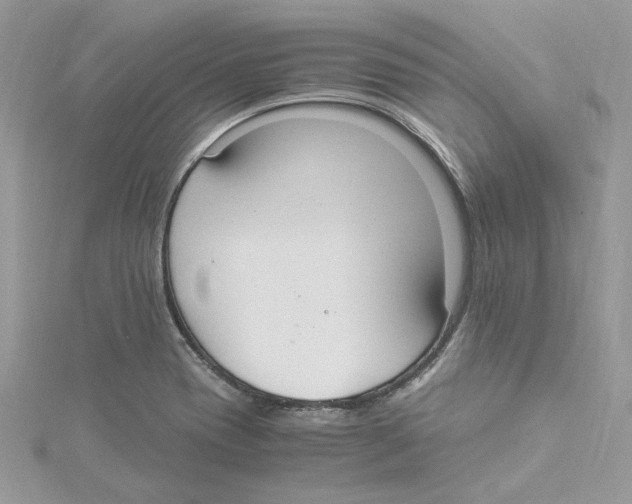 X0000114541417200911161347