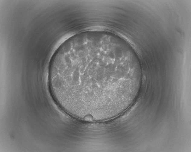 X0000114541418200911161347