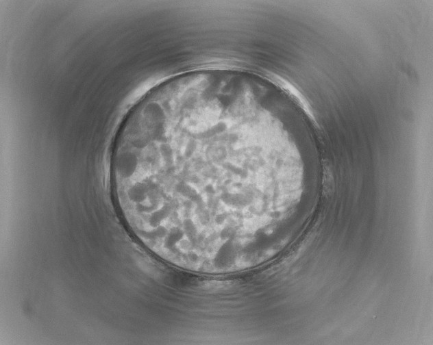 X0000114541419200911161347