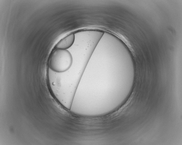 X0000114541420200911161347