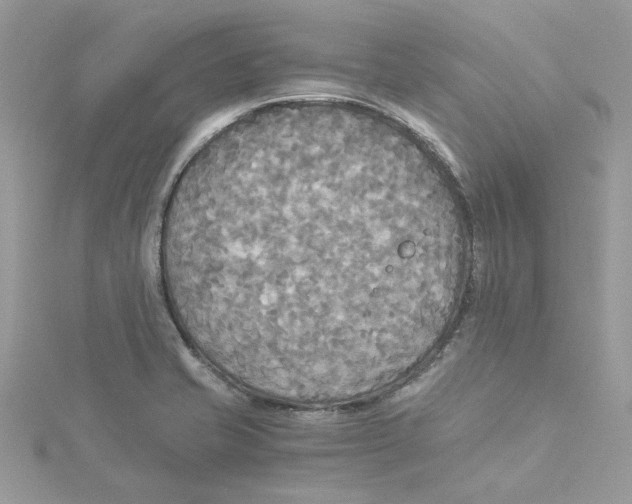 X0000114541421200911161347