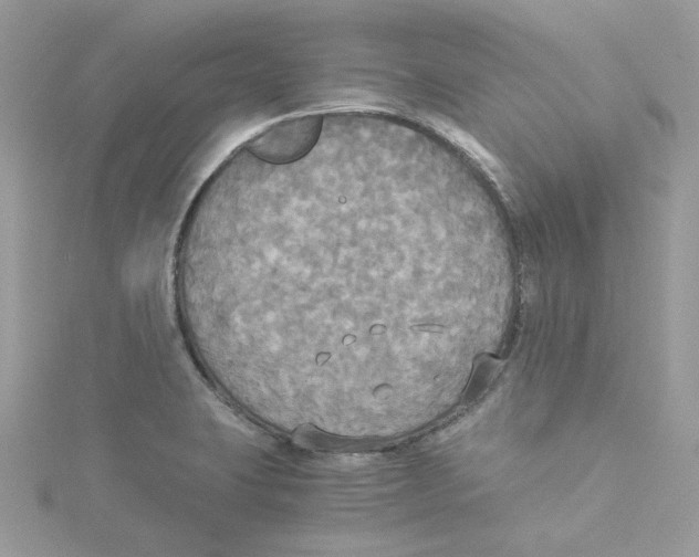 X0000114541423200911161347