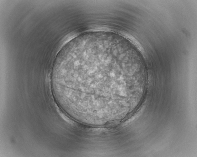 X0000114541425200911161347