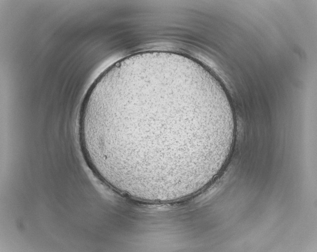 X0000114541426200911161347