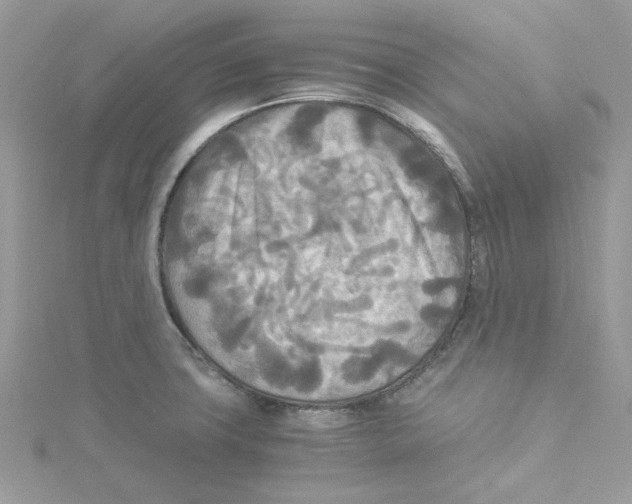 X0000114541427200911161347