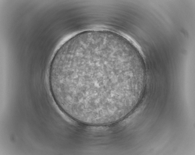 X0000114541429200911161348