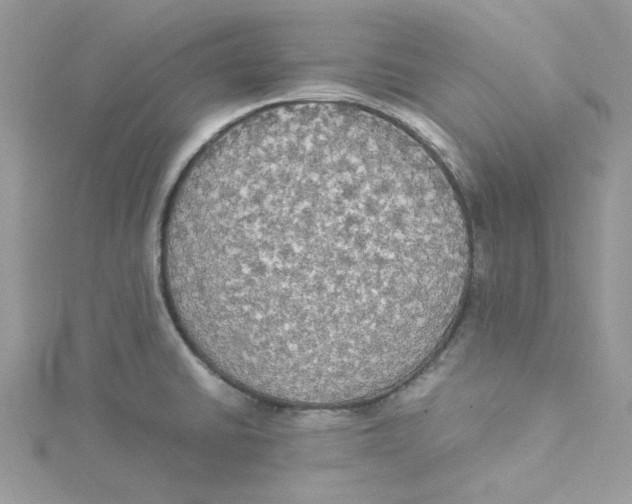 X0000114541430200911161348