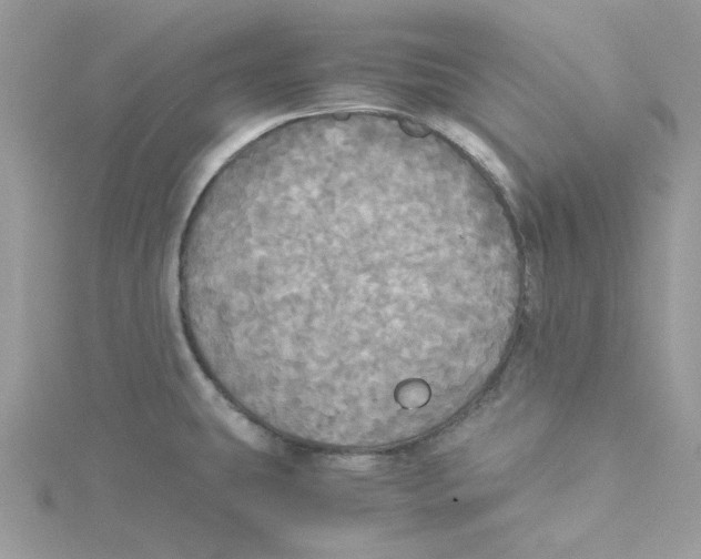 X0000114541431200911161348