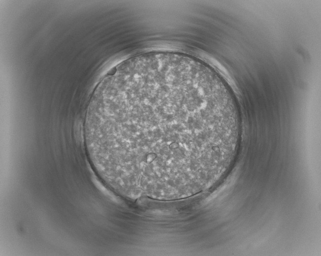 X0000114541433200911161348