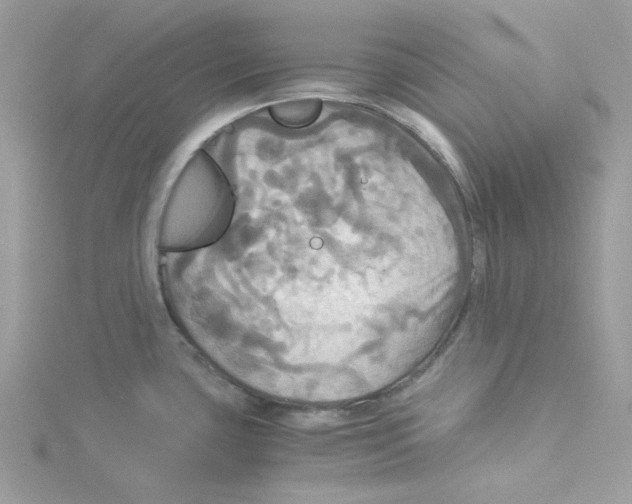 X0000114541435200911161348