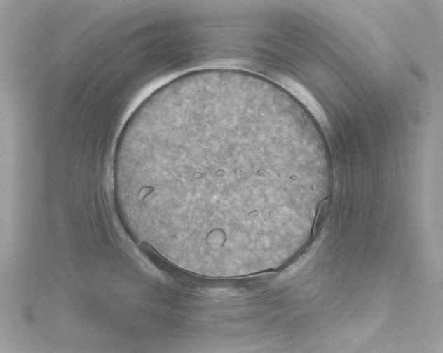 X0000114541436200911161348