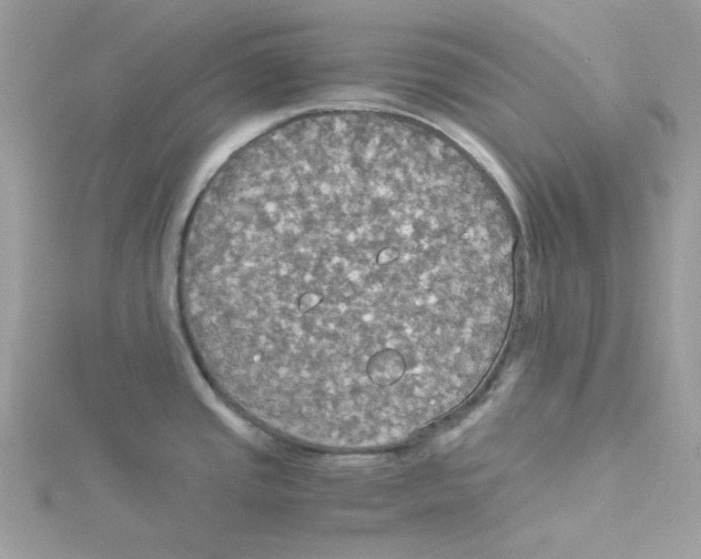 X0000114541437200911161348