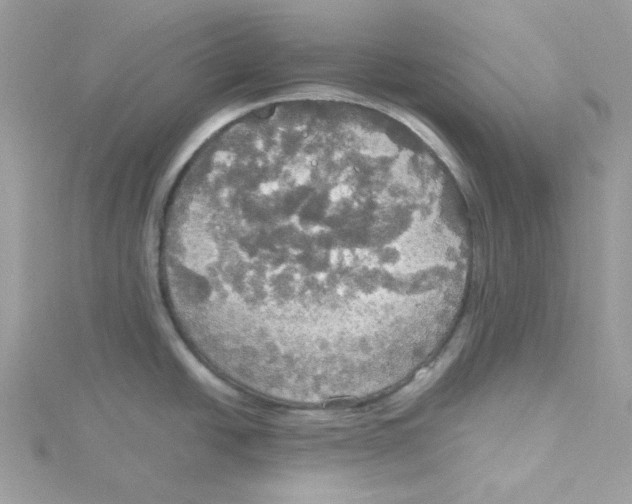 X0000114541438200911161348