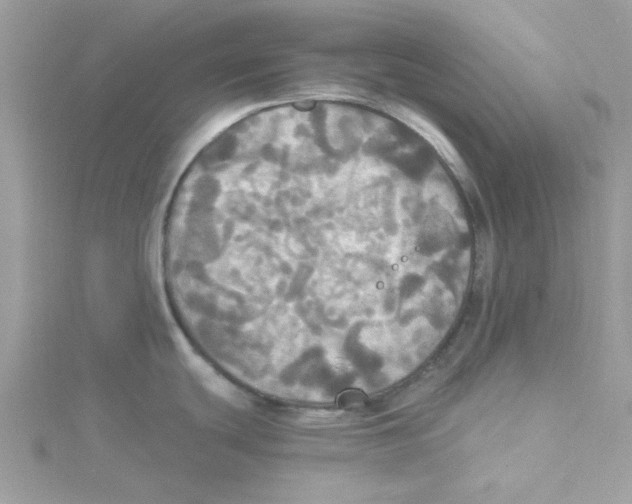 X0000114541439200911161348