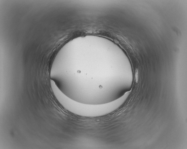 X0000114541444200911161347