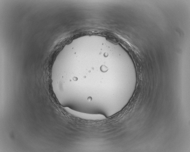 X0000114541447200911161347