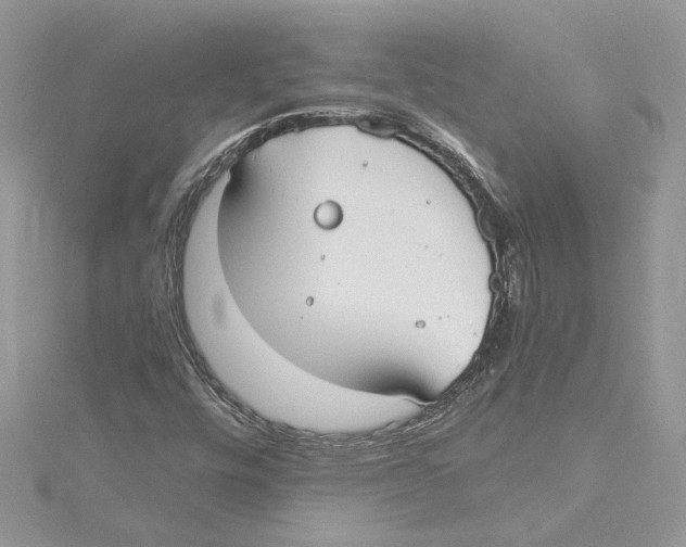 X0000114541448200911161347