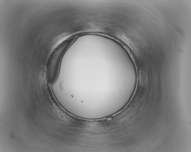 X0000114541452200911161347