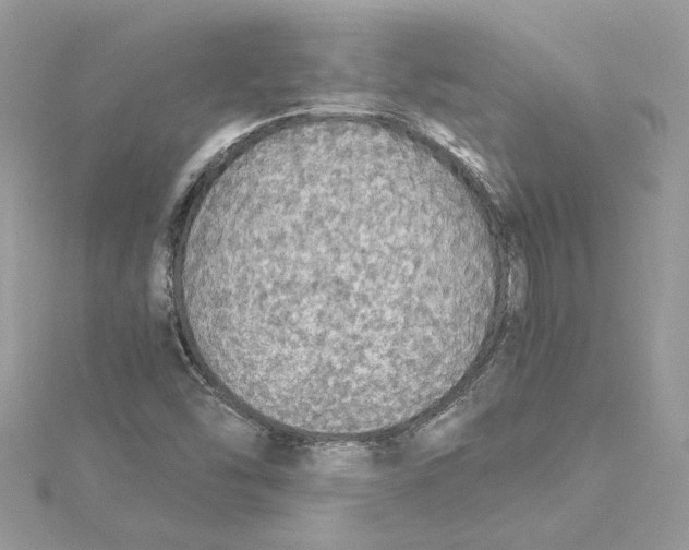 X0000114541454200911161347