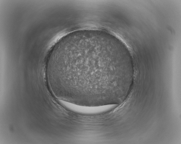 X0000114541455200911161347