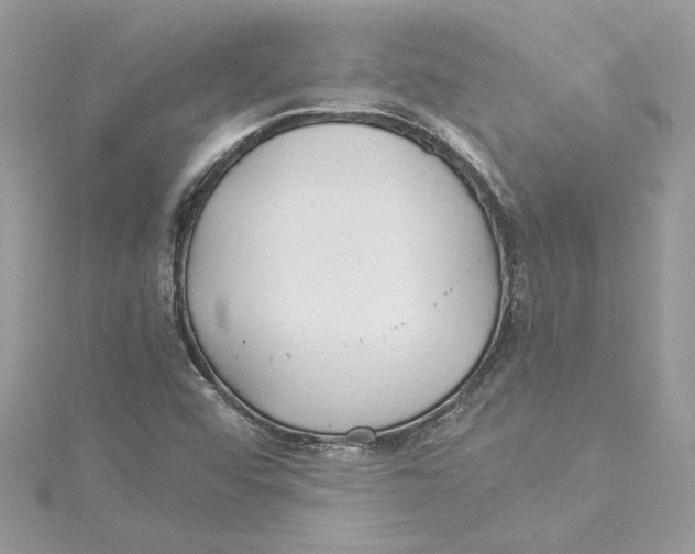 X0000114541456200911161347