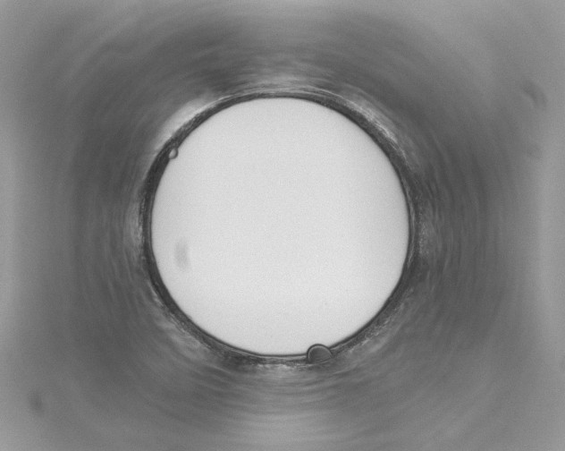 X0000114541458200911161347