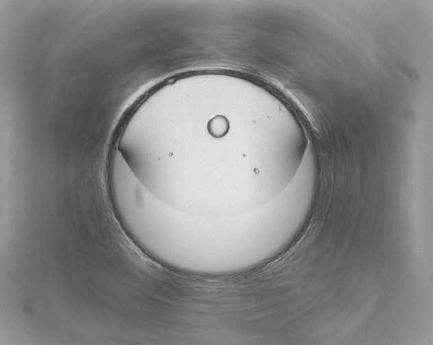 X0000114541460200911161347