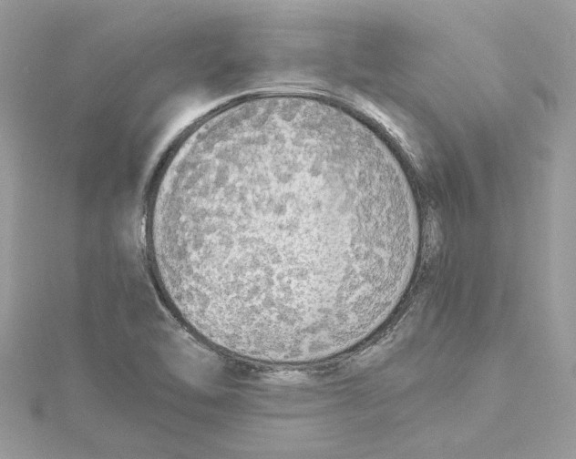 X0000114541462200911161347