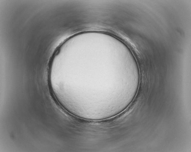 X0000114541463200911161347