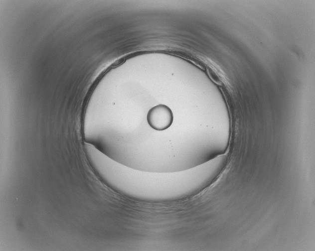 X0000114541465200911161347