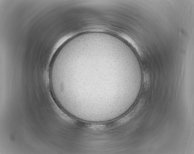 X0000114541466200911161347