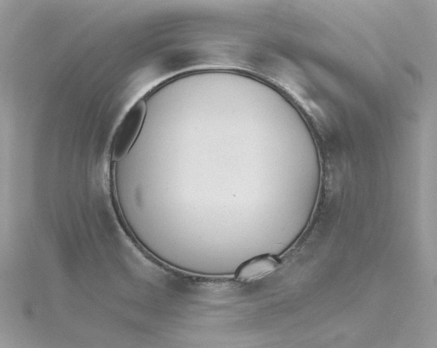 X0000114541468200911161347