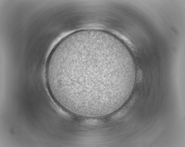 X0000114541470200911161347