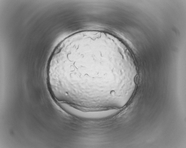 X0000114541471200911161347