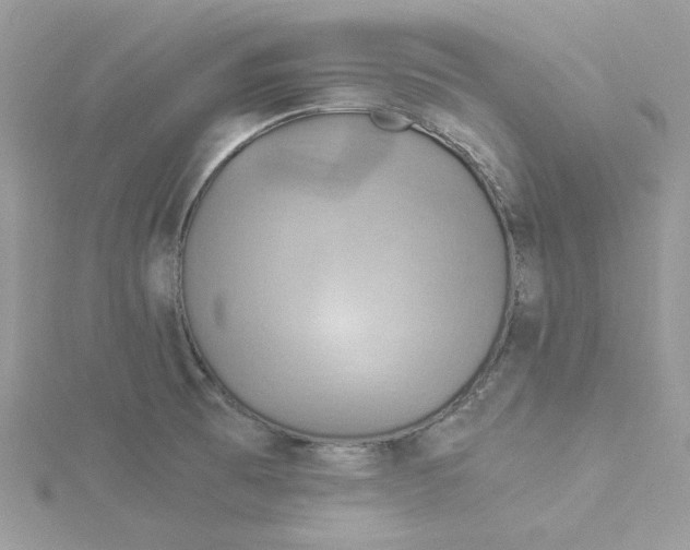 X0000114541473200911161347