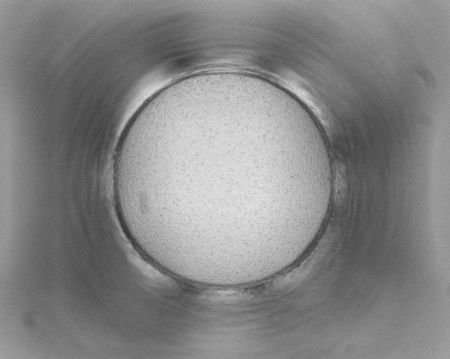 X0000114541474200911161347