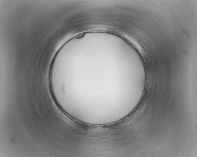 X0000114541475200911161347