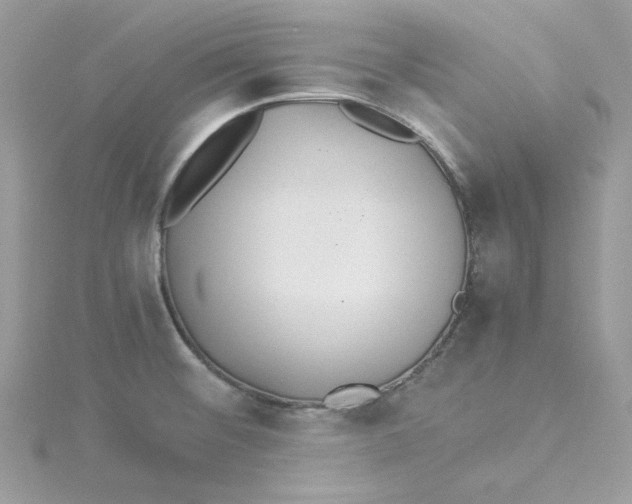 X0000114541476200911161347