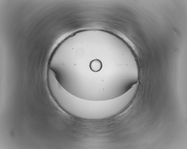 X0000114541477200911161347