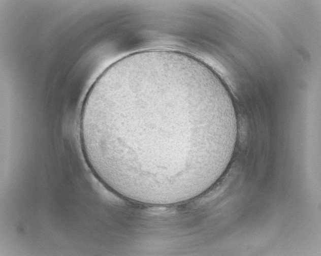 X0000114541478200911161347