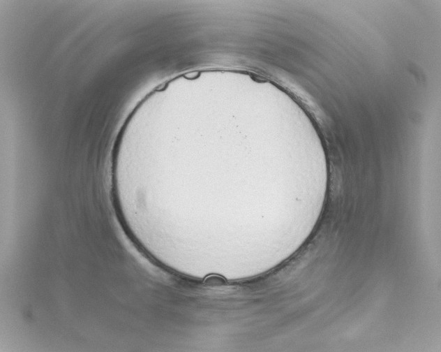 X0000114541479200911161347