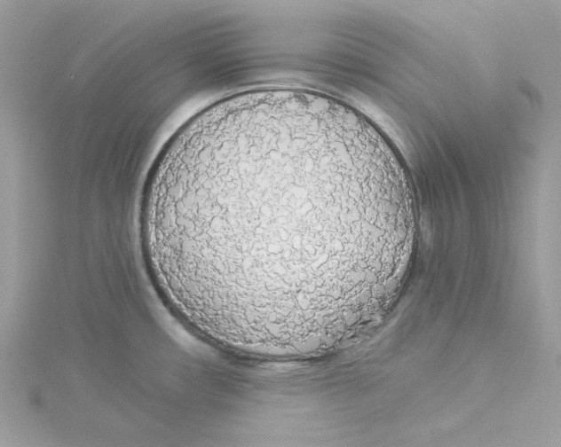 X0000114541482200911161347